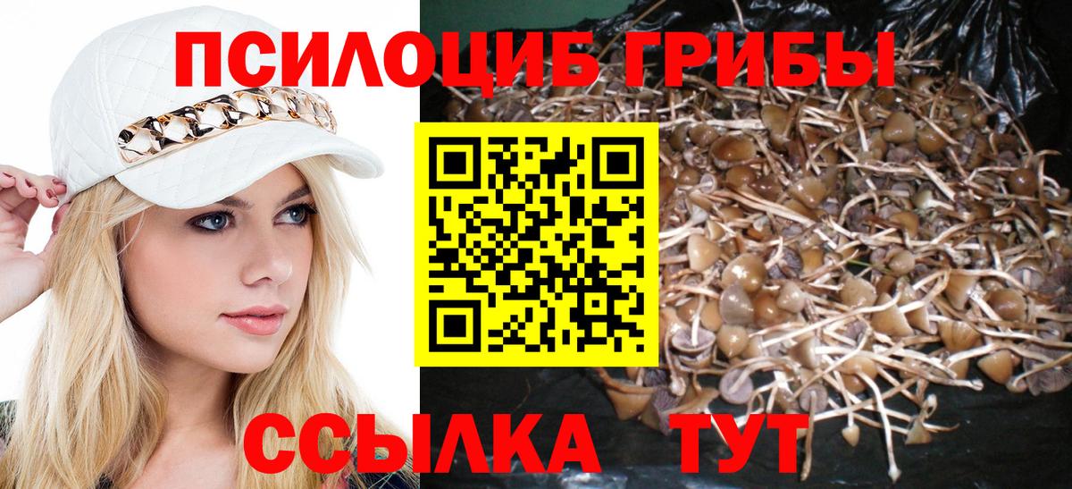 Псилоцибиновые грибы мухоморы  Вход с VPN  купить наркотики сайты  Медногорск 